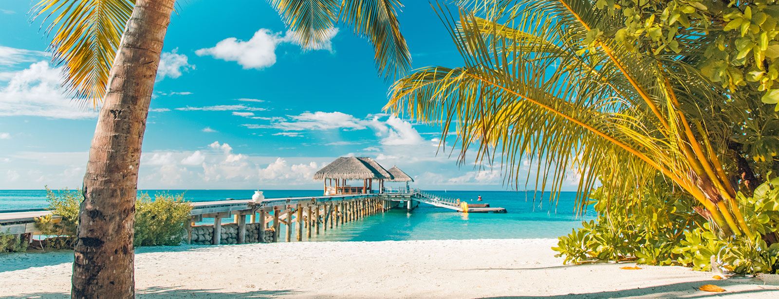Beach front dock of the Bahamas shore